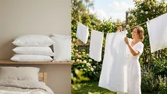 Vergeleide lakens en kussens kunnen met sap worden wit gemaakt: wat je nodig hebt en hoe je het doet